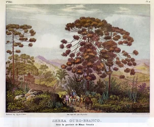 Serra Ouro-Branco